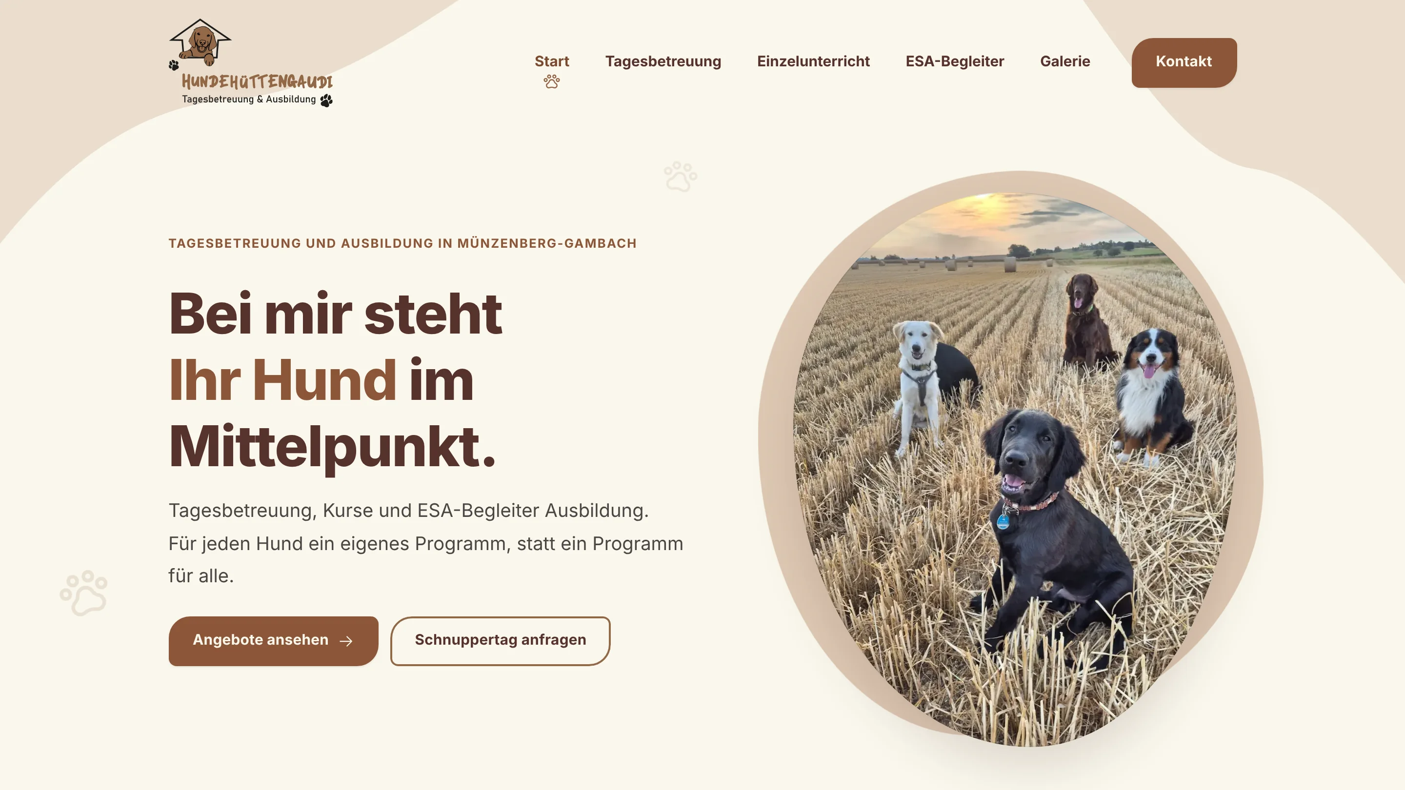 Hundehüttengaudi: Startseite mit Hero und organischer Bildform